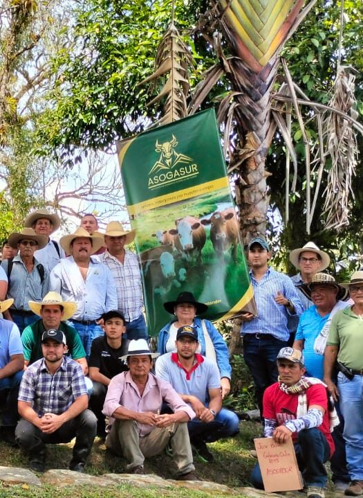 whatsapp image 2026 01 24 at 2.38.01 pm (1)